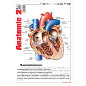 Pliant Anatomie 2