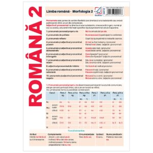 Pliant limba romana - Morfologie 2